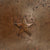 Original Japanese WWII Type 90 Army Relic Helmet with Intact Star - No Liner or Chinstrap - Tetsubo