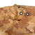 Original U.S. Korean War 1953 Dated Mitchell Pattern Camouflage Shelter Half with Poles & Pins