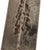 Original German WWII Partial Ground Röhm Inscription Early M33 SS Ehrendolch Dagger by Richard Abr. Herder with Scabbard