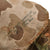 Original U.S. Korean War USMC Rear Seam Swivel Bale M1 Helmet with MSA Liner & Torn Blue Anchor USMC Cover With Stenciled Eagle, Globe and Anchor