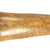 Original American Revolutionary War Volunteer Pennsylvania Battalion Scrimshaw Powder Horn with Scene of Philadelphia & Cacophany of Arms - Dated 1780 - Outstanding Original Items