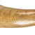 Original American Revolutionary War Volunteer Pennsylvania Battalion Scrimshaw Powder Horn with Scene of Philadelphia & Cacophany of Arms - Dated 1780 - Outstanding Original Items