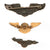 Original U.S. WWII CAA Civil Aviation Authority Wings & Insignia Lot with Sterling Wings & Cap Badge - 10 Items Total