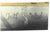 Original U.S. WWII AAF Nose Art Photo Collection with Fantastic Suggestive Artwork - 20 Photos Total Original Items