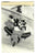 Original U.S. WWII AAF Nose Art Photo Collection with Fantastic Suggestive Artwork - 20 Photos Total Original Items