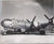 Original U.S. WWII AAF Nose Art Photo Collection with Fantastic Suggestive Artwork - 20 Photos Total Original Items