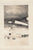 Original U.S. WWII AAF Nose Art Photo Collection with Fantastic Suggestive Artwork - 20 Photos Total Original Items