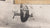 Original U.S. WWII AAF Nose Art Photo Collection with Fantastic Suggestive Artwork - 20 Photos Total Original Items