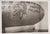 Original U.S. WWII AAF Nose Art Photo Collection with Fantastic Suggestive Artwork - 20 Photos Total