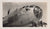Original U.S. WWII AAF Nose Art Photo Collection with Fantastic Suggestive Artwork - 20 Photos Total Original Items