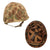 Original U.S. WWII USMC Rear Seam Swivel Bale M1 Helmet with MSA Liner and 2nd Pattern USMC Camouflage “Frogskin” Cover