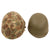 Original U.S. WWII USMC Rear Seam Swivel Bale M1 Helmet with MSA Liner and 2nd Pattern USMC Camouflage “Frogskin” Cover