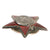 Original Soviet WWII Order of the Red Star No. 1,617,065 Awarded to Jewish Military Doctor Yakov Borisovich Birbraier – 2nd Guards Tank Army, Battle of Berlin