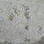 Original U.S. Post-WWI CCC M1910 Canteen Engraved for Company 529 - Castle Dale, Utah - Civilian Conservation Corps Original Items