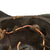 Original Imperial German WWI Wartime Depot-Refurbished Prussian EM/NCO Infantry M1915 Pickelhaube Spiked Helmet Original Items