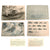 DRAFT Pair of original water colors German Original Items