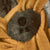 Original U.S. WWII Early 1943 M1 McCord Front Seam Fixed Bale Helmet with Firestone Liner Original Items