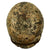Original German WWII Battle Damaged "Dug Up" M40 Single Decal SS Helmet with Liner & Chinstrap - EF66 Original Items