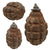 Original French WWI F1 Hand Grenade with Scarce Early Wick Type Fuze