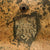 Original German WWII Named DAK Afrikakorps Camouflage Heer Army Single Decal M35 Helmet - Stamped EF66 Original Items