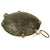 Original German WWI Model 1915 Inert "Turtle" Offensive Discus Hand Grenade - Discushandgranate Original Items
