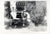 DRAFT LARGE PHOTO COLLECTION OF CAPTURED GERMAN TANKS ETC Original Items