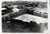 Original U.S. WWII 2 ¾” x 2” Photograph Collection of Aircraft Nose Art - 17 Photos Original Items