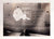 Original U.S. WWII 2 ¾” x 2” Photograph Collection of Aircraft Nose Art - 17 Photos Original Items