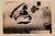 Original U.S. WWII 2 ¾” x 2” Photograph Collection of Aircraft Nose Art - 17 Photos Original Items