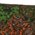 Original Rare German WWII Waffen-SS Zeltbahn Tent Quarter & Poncho in Oak Pattern A Camouflage Original Items