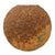 Original U.S. Civil War Federal INERT 12 Pdr Cannonball For Use With a Bormann Timed Fuse - Ground Dug at Chickamauga Original Items