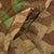 Original German WWII Zeltbahn Tent Quarter & Poncho in Splinter Pattern Reversible Camouflage - Not Marked Original Items