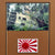Original Japanese WWII Framed Mitsubishi G4M Betty Hull Fragment from U.S. Operation Vengeance with Signed Photo of Participants & Fragment from Their Plane - Admiral Yamamoto - 22 ½ x 32 ¼” Original Items
