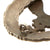 Original German WWII Early Tombak Luftwaffe Pilot's Badge by C.E. Juncker Berlin - Flugzeugführerabzeichen Original Items