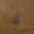 Original U.S. WWI 5th “Red Diamond” Division M1917 Doughboy Helmet - Complete Original Items