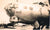Original U.S. WWII B-17 “Evasive Action” Navigator Painted A2 Flight Jacket, Uniform, & Cased Medals and Insignia - Air Medal with 5 OLCs - 334th Bomb Squadron, 95th Bombardment Group - William Charles "Limpy" Limpach Original Items