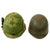 Original U.S. Vietnam War M1 Helmet with 1975 Dated Camouflage Cover and Liner Original Items