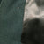 Original German WWII 14th Panzer Division Commander Generalleutnant Friedrich W. Sieberg Uniform Tunic - Formerly Part of the A.A.F. Tank Museum Original Items