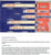Original U.S. WWII Propaganda Leaflet Dropped on Japanese Industrial Areas with Letter to Parents - 73rd Bomb Wing Original Items