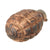 Original French WWI F1 Hand Grenade with Partial Billant Modèle 1916 Fuse - Inert Original Items