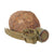 Original Polish WWII Offensive Hand Grenade wz. 24 - Inert Original Items
