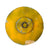 Original U.S. Pre-Vietnam War Inert Mine Anti-Tank Heavy Practice M20 & M21 Training Mines Original Items