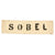 Original U.S. Band of Brothers Sobel Name Tape & Winters Jacket Tag Used in Show Original Items