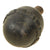 Original German WWI Model 1917 n/A Inert Egg Hand Fragmentation Grenade - Eierhandgranate Original Items