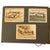 Original German WWII HJ National Youth Organization Soccer Team and Athletics Personal Photo Album - 183 Pictures Original Items