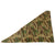 Original German WWII Zeltbahn Tent Quarter & Poncho in Splinter Pattern Reversible Camouflage with RBNr. Stamp - Dated 1944 Original Items