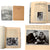 Original German Pre WWII 1936 Summer Olympics Volume 2 Cigarette Card Album in Original Box - All Cards Present Original Items