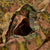 Original Rare German WWII Waffen-SS Zeltbahn Tent Quarter & Poncho in Oak Pattern A Camouflage with Carry Straps & Tent Accessories Original Items