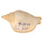 Original U.S. WWII Send-Home Box with Japanese Good Luck Flag & Seashell Collection from Corporal George D. Hanaway, 29th General Hospital - Page of Flag Translations Original Items