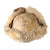 Original German WWII Eastern Front Luftwaffe M43 Pelzmütze Winter Sheepskin Fur Field Cap Original Items